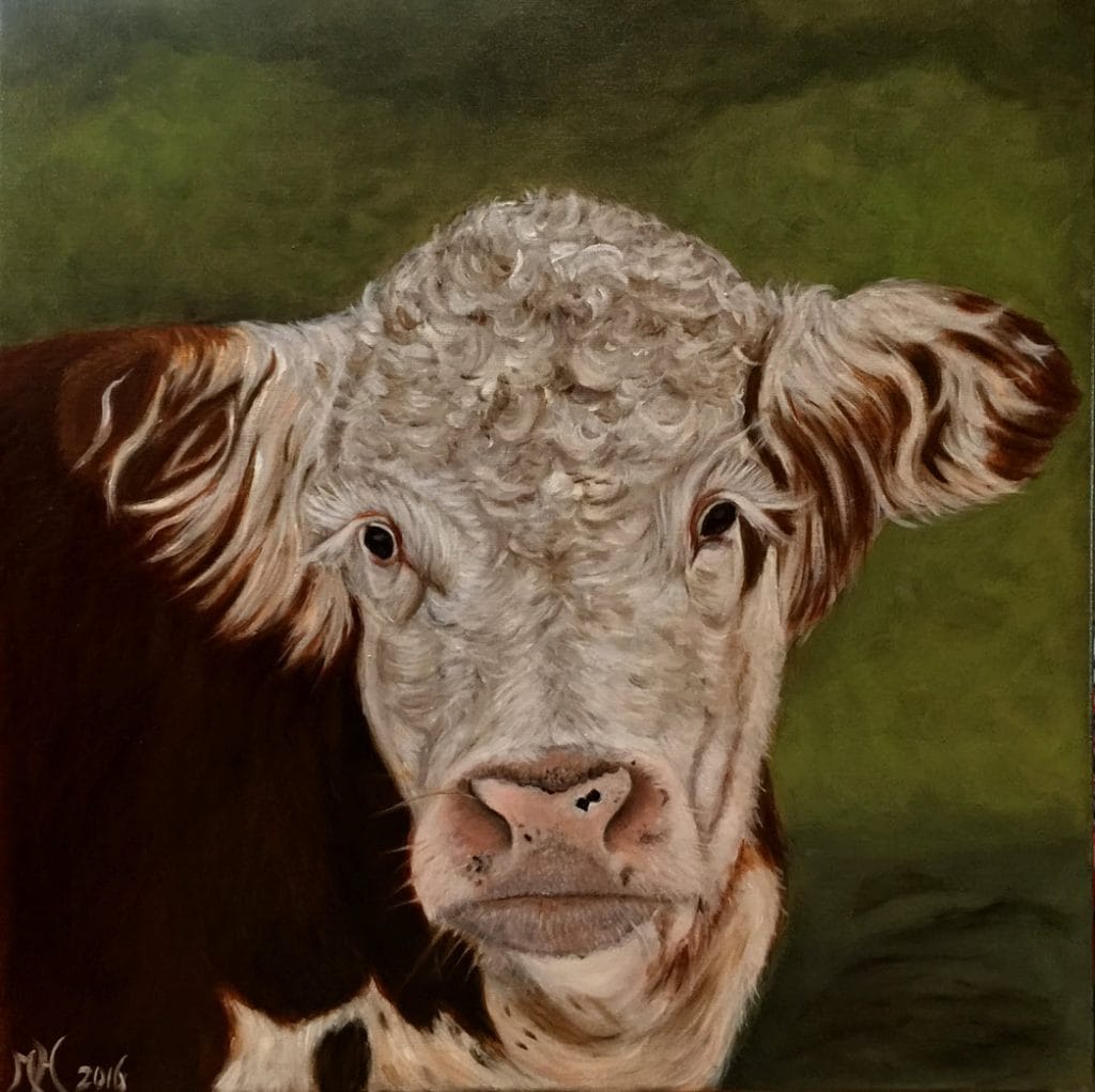 Dikbil koe Olieverf op doek 60x60cm