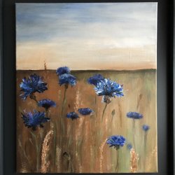 Korenbloemen