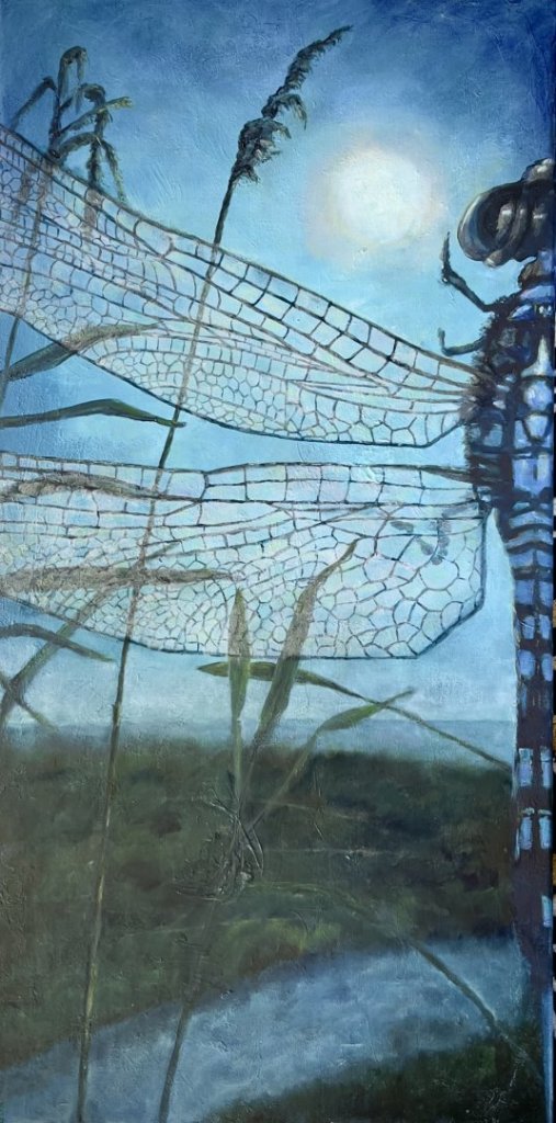Blue Dragonfly