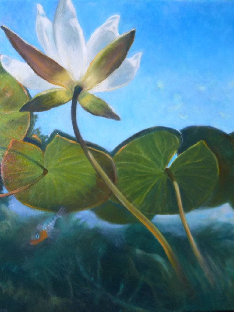 Waterlelie III