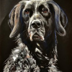 Roef