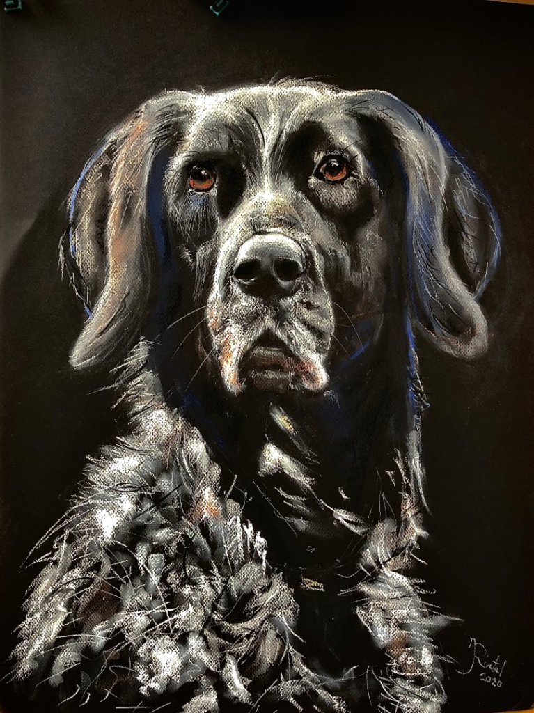Roef