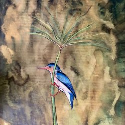 IJsvogel 2