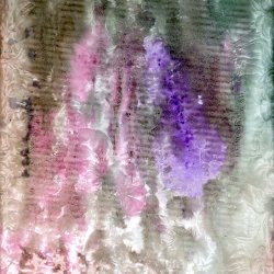 Twee bloemen