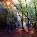 pastel - berg en dal 05 pastel op papier 50 x 65 verkocht