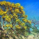pastel - waalsdorpervlakte 04 05 21 pastel op papier 50 x 65 verkocht