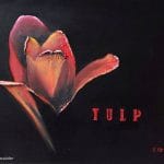Drieluik Tulp