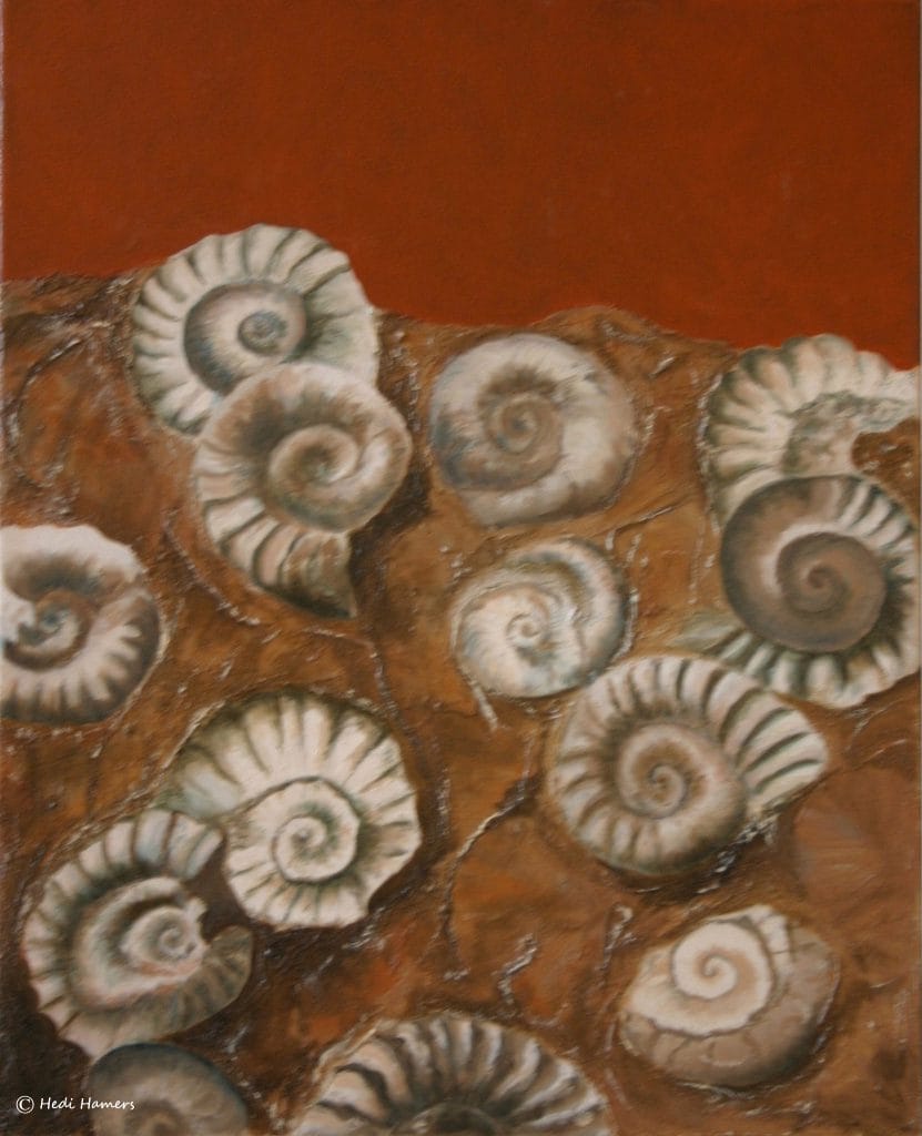 Schelpen