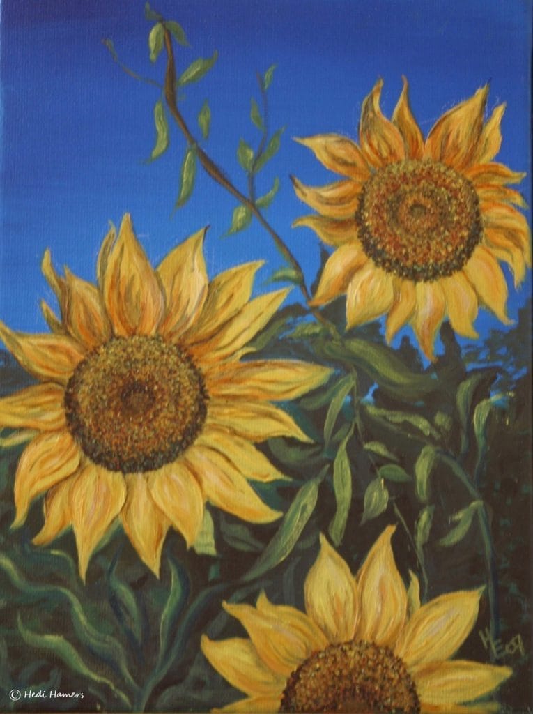 Zonnebloemen