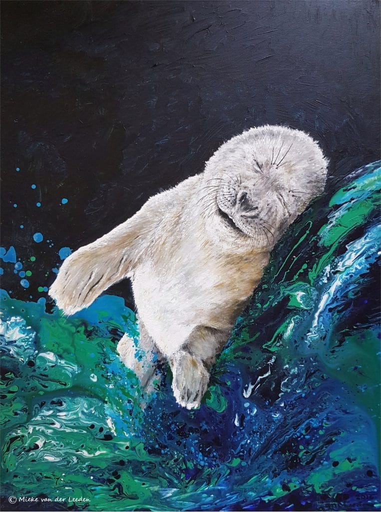 Seal lullaby