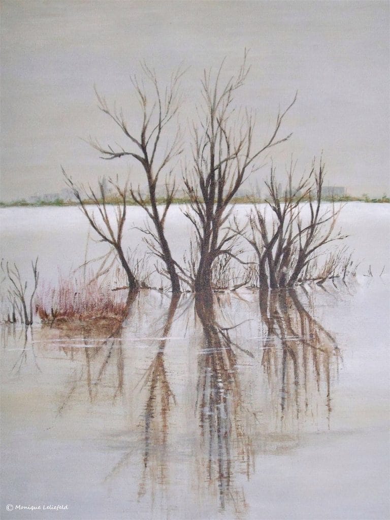 Landschap