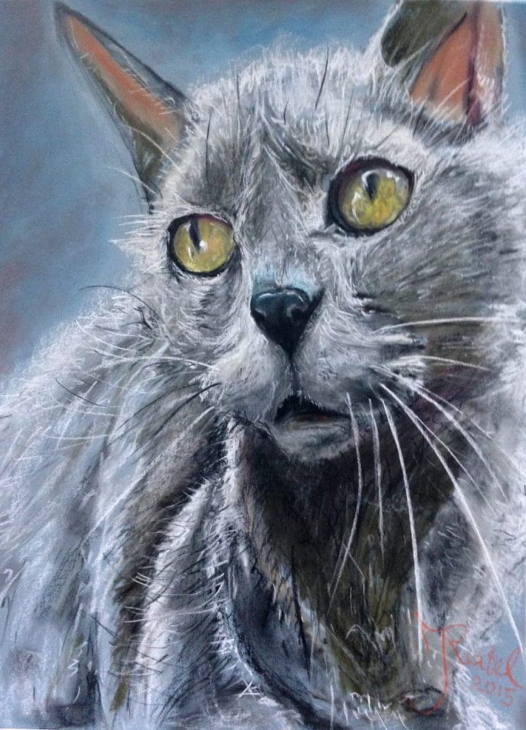 Kat